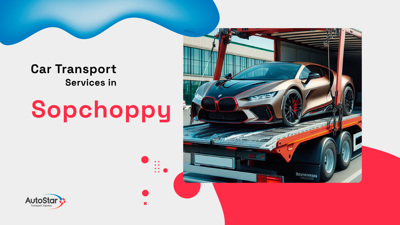 Ship Vehicle to or from
Sopchoppy