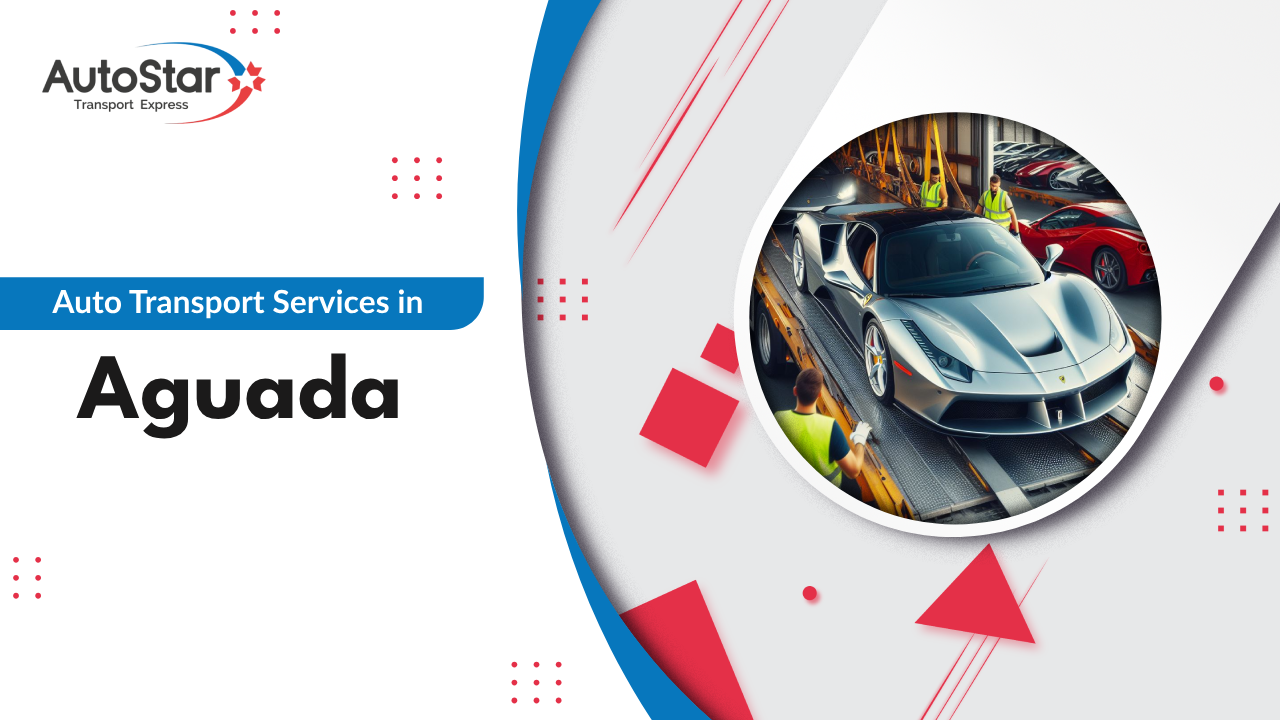 Auto Transport Services in Aguada
