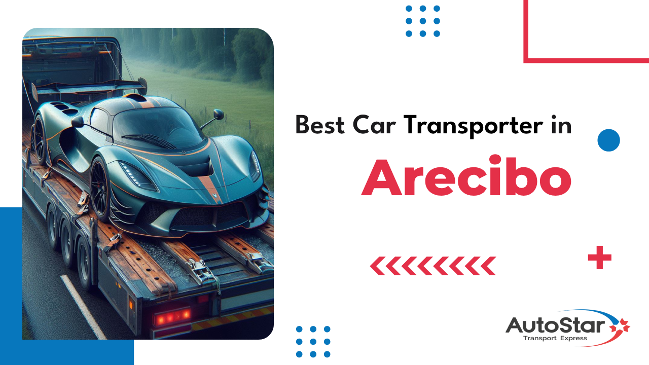 Best Car Transporter in Arecibo
