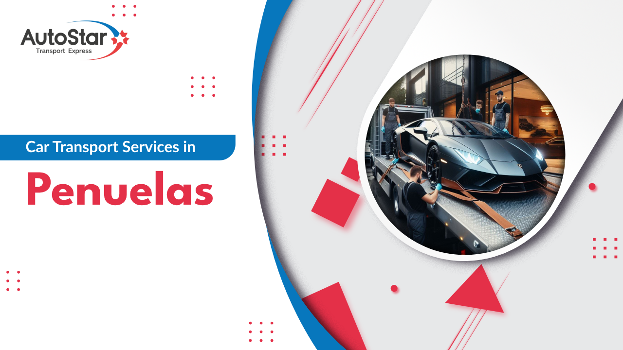 Car Transport Services in Penuelas