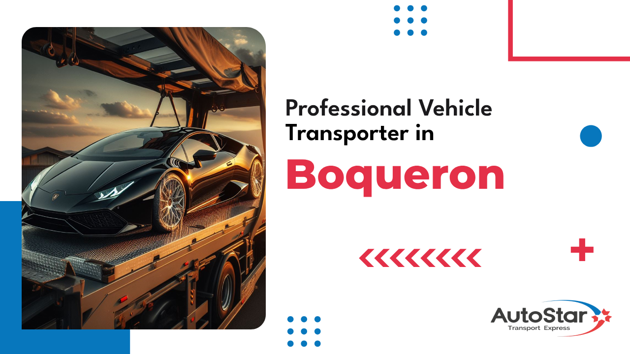 Professional Vehicle Transporter in Boqueron