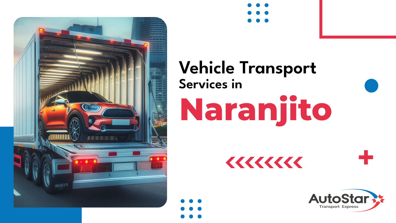 Vehicle Transport Services in Naranjito Vehicle Transport Services in Naranjito