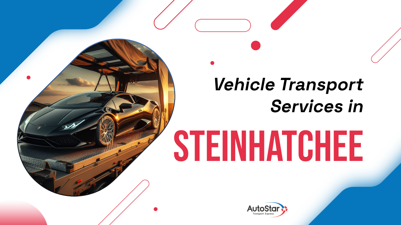 Vehicle Transport Services in Steinhatchee Vehicle Transport Services in Steinhatchee