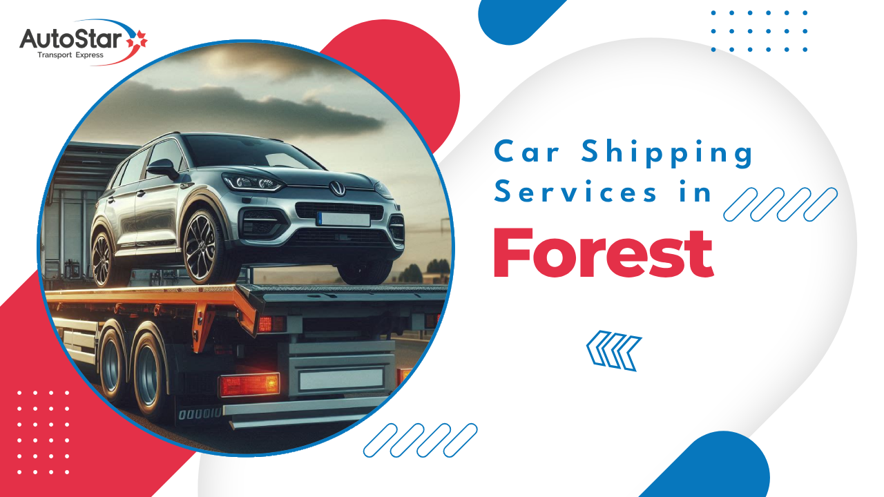Car Shipping Services in Forest Car Shipping Services in Forest
