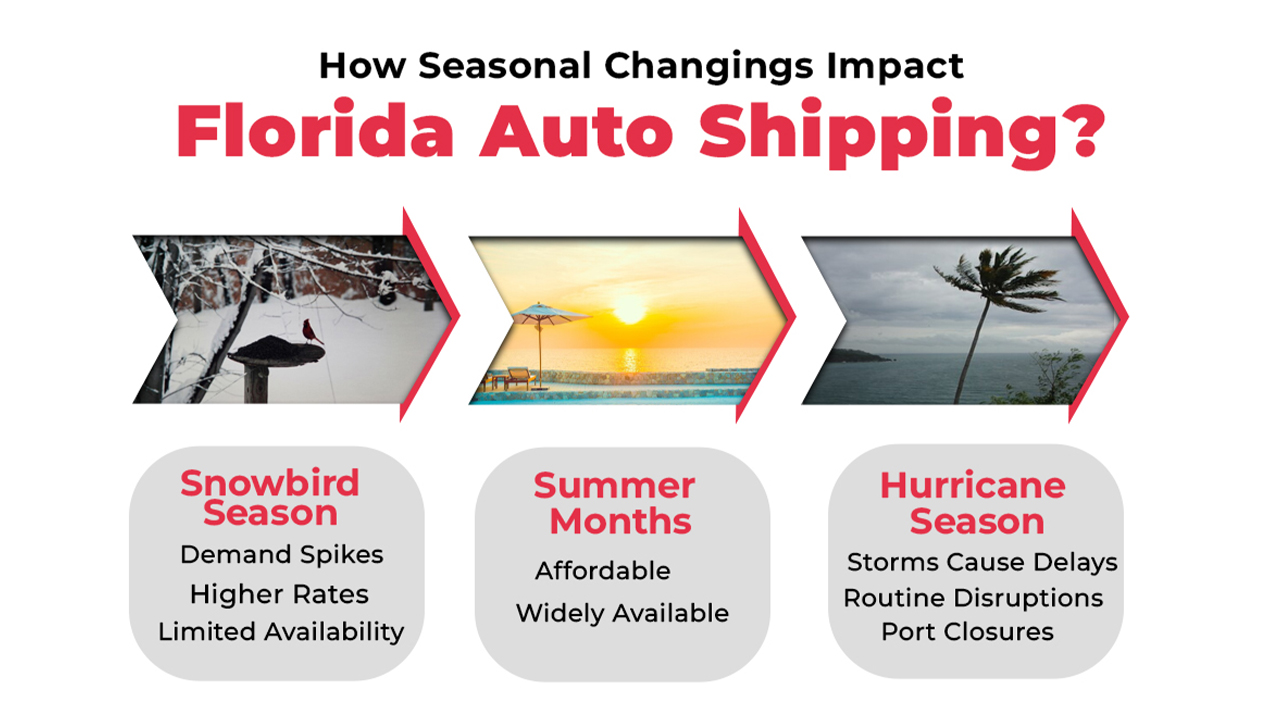 How Seasonal Changes Impact Florida Auto Shipping