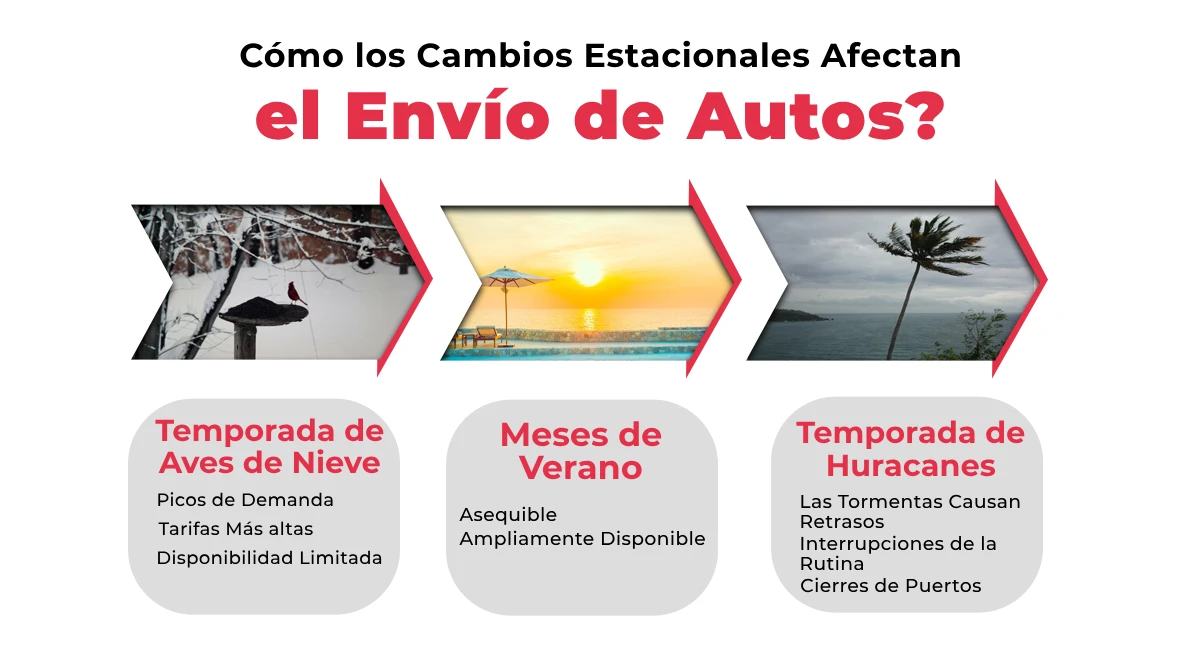 Cómo los Cambios Estacionales Afectan el Envío de Autos en Florida