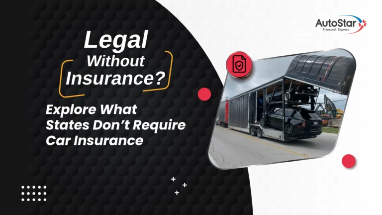 Explore What States Don’t Require Car Insurance