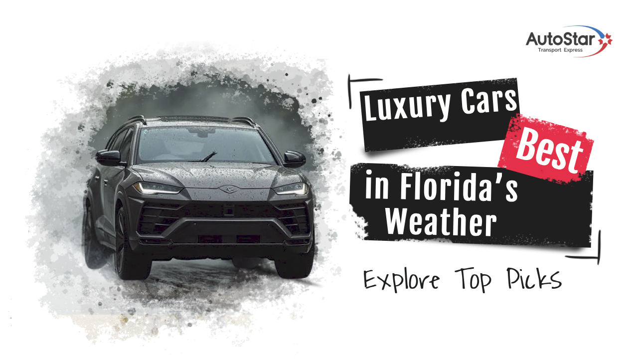 Luxury Cars Best in Florida’s Weather: Explore Top Picks