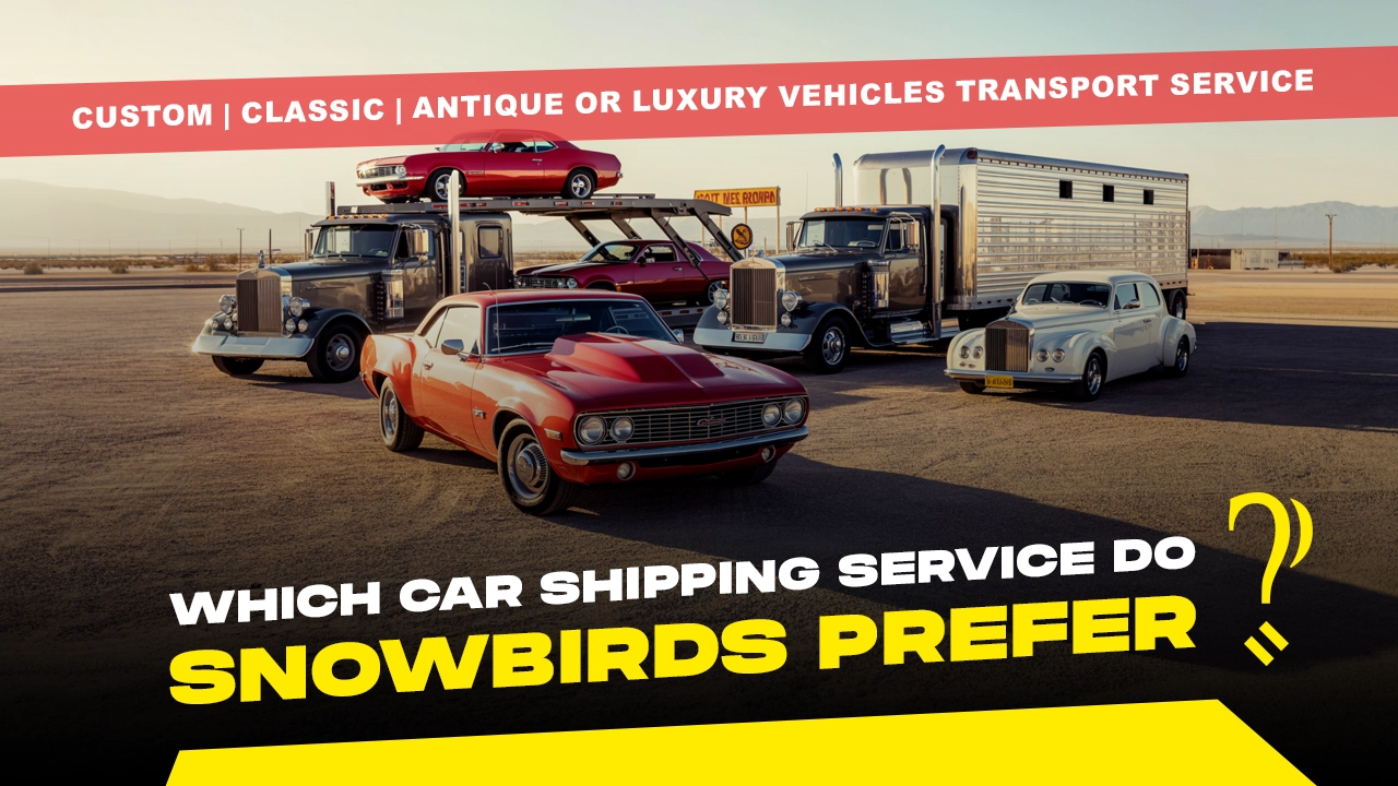 Which Car Shipping Service do Snowbirds Prefer?