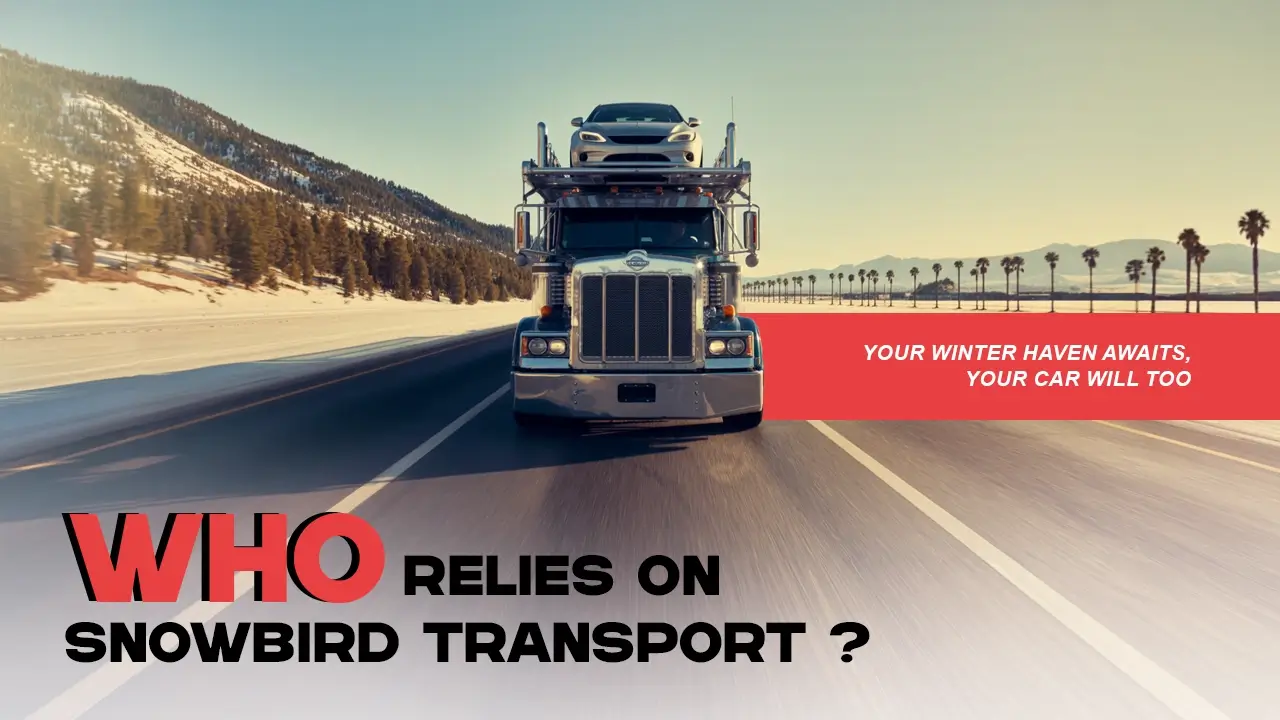 People Who Commonly Use Snowbird Car Shipping